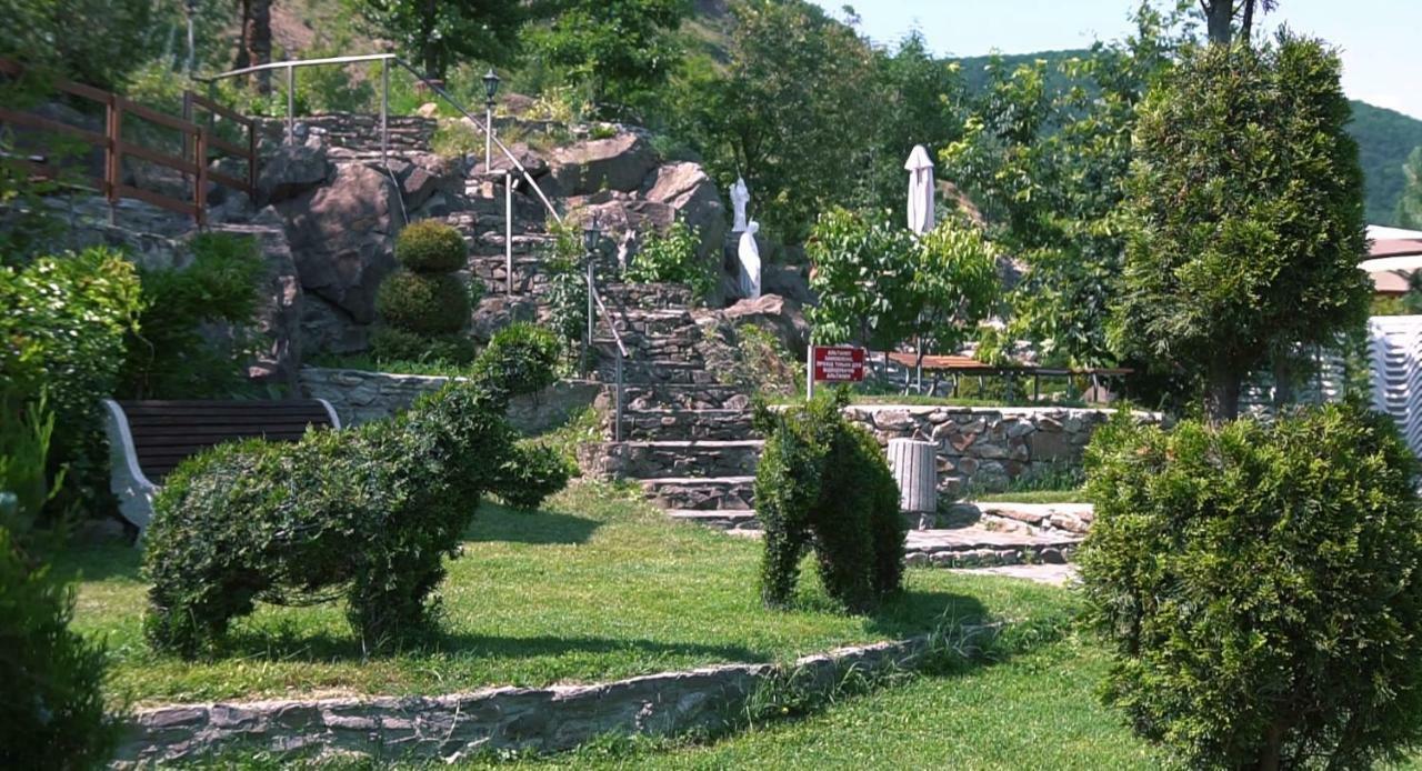 Chorna Skelya Resort & Wellness Vynohradiv Extérieur photo